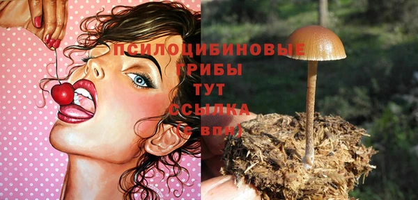 прущие крисы Переславль-Залесский
