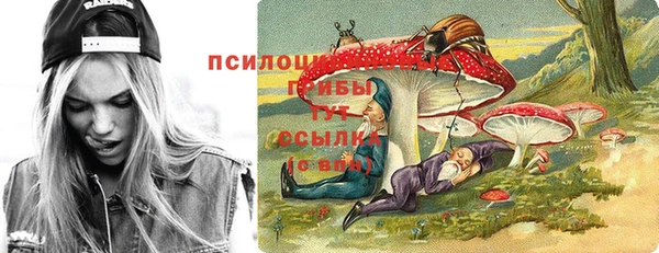 прущие крисы Переславль-Залесский