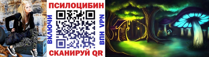 цены   Старица  Псилоцибиновые грибы мицелий 
